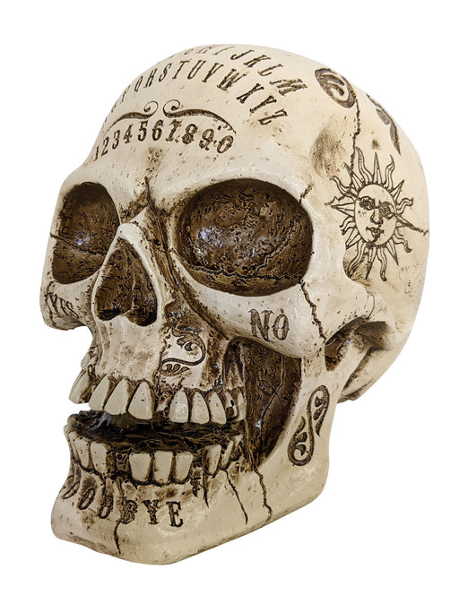 7-inch Spirit Resin Skull Prop - costumesupercenter.com