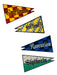 Harry Potter Quidditch Pitch Lawn Decoration - costumesupercenter.com