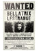 Harry Potter Wanted Signs Lawn Decoration - costumesupercenter.com