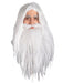 Adult Lord of the Rings Gandalf Beard & Wig Set - costumesupercenter.com