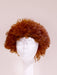 Men's Buddy the Elf Wig - costumesupercenter.com