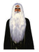 Merlin Wizard Wig and Beard Adult - costumesupercenter.com