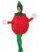 Adult Strawberry Costume - costumesupercenter.com