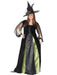 Goth Maiden Witch Adult Plus Costume - costumesupercenter.com