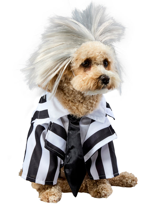 Beetlejuice Beetlejuice Pet Costume - costumesupercenter.com