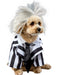 Beetlejuice Beetlejuice Pet Costume - costumesupercenter.com