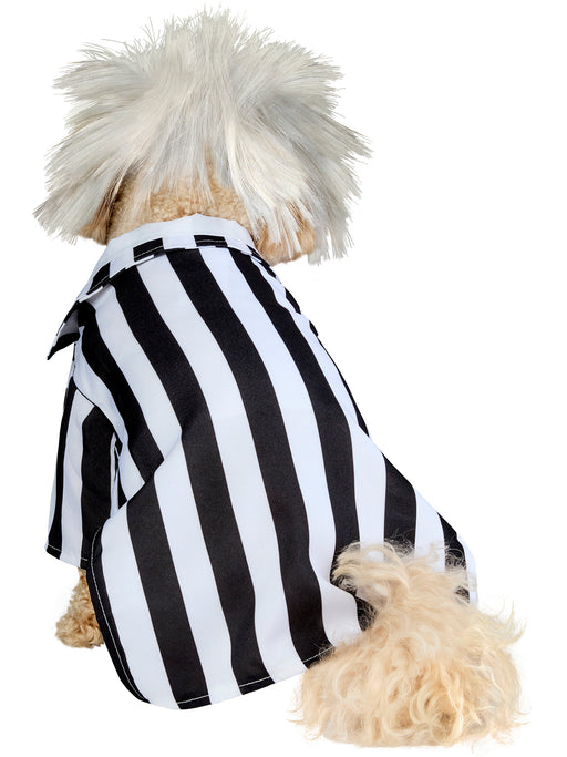 Beetlejuice Beetlejuice Pet Costume - costumesupercenter.com