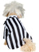 Beetlejuice Beetlejuice Pet Costume - costumesupercenter.com