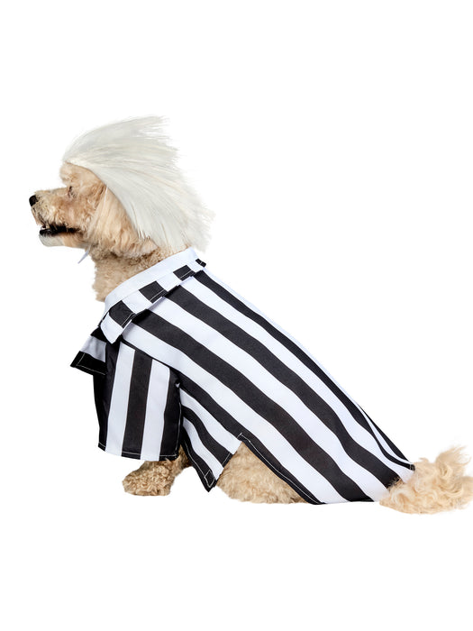Beetlejuice Beetlejuice Pet Costume - costumesupercenter.com