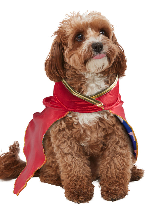 DC Comics Wonder Woman Pet Cape - costumesupercenter.com