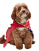 DC Comics Wonder Woman Pet Cape - costumesupercenter.com