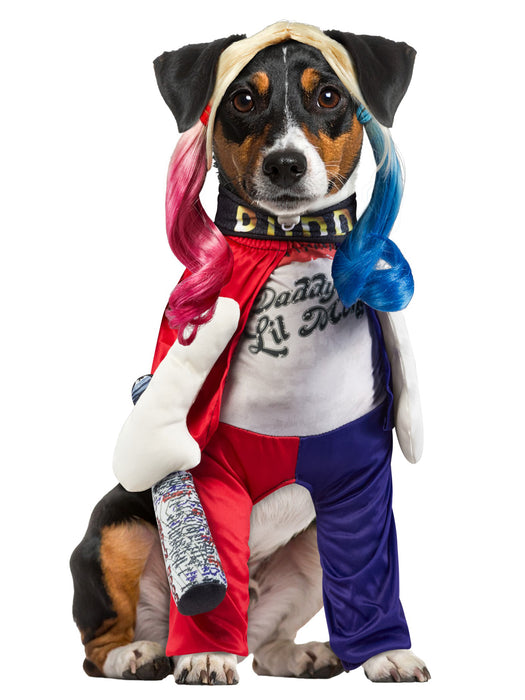 Suicide Squad Harley Quinn Pet Costume - costumesupercenter.com