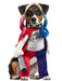 Suicide Squad Harley Quinn Pet Costume - costumesupercenter.com