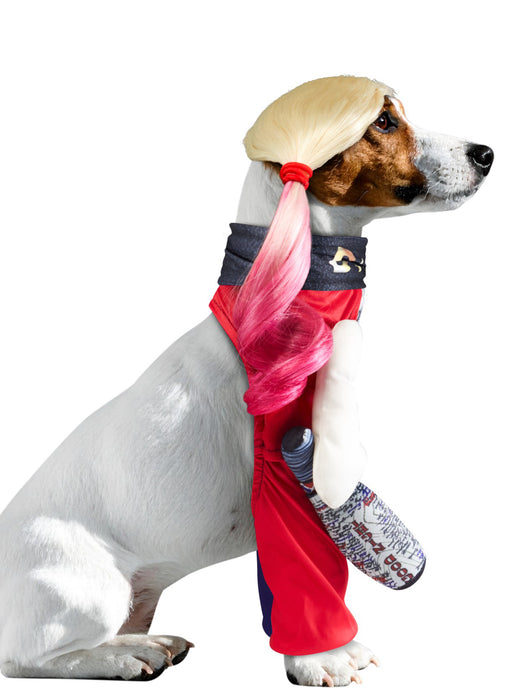 Suicide Squad Harley Quinn Pet Costume - costumesupercenter.com