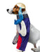 Suicide Squad Harley Quinn Pet Costume - costumesupercenter.com