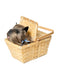 The Wizard of Oz Toto in a Basket - Deluxe - costumesupercenter.com