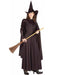 Classic Witch Adult Costume - costumesupercenter.com