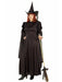 Womens Plus Size Classic Witch Costume - costumesupercenter.com