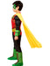 Boys DC Comics Deluxe Robin Costume - costumesupercenter.com
