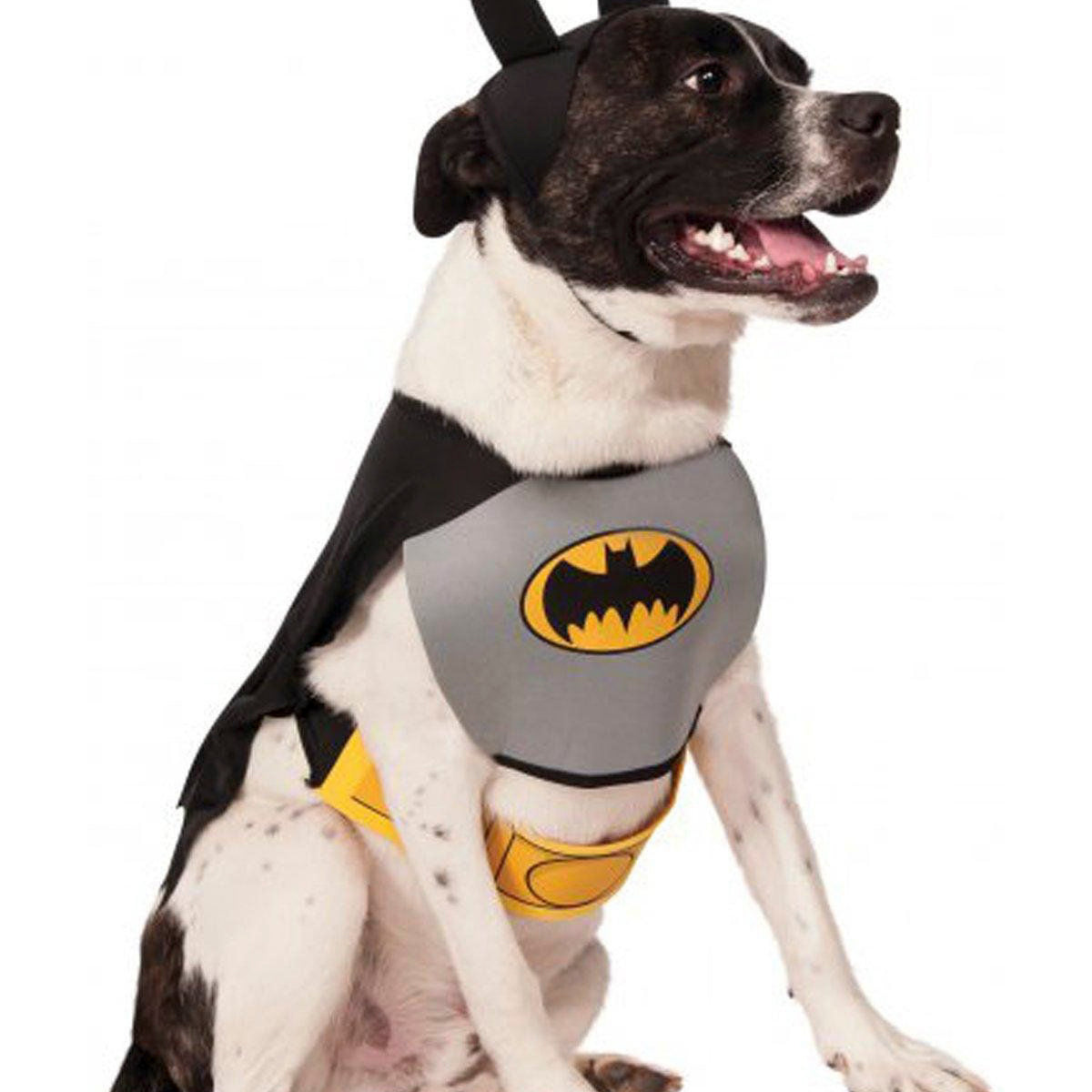 Batman Dog Costume — Costume Super Center