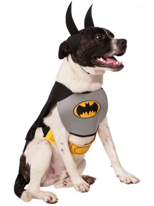 Batman Dog Costume - costumesupercenter.com