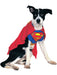 DC Comics Superman Pet Costume - Classic - costumesupercenter.com