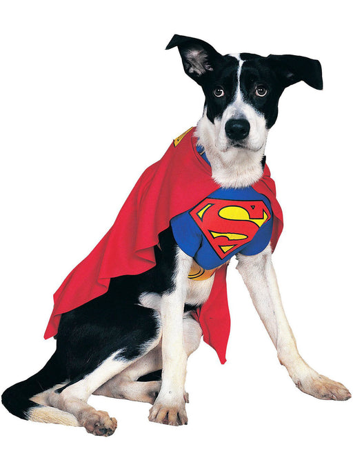 DC Comics Superman Pet Costume - Classic - costumesupercenter.com