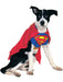 Superman Dog Costume - costumesupercenter.com