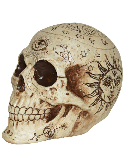 7-inch Fortune Telling Skull Decoration - costumesupercenter.com