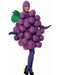 Purple Grapes Adult Costume - costumesupercenter.com