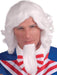 Uncle Sam Wig and Beard Set - costumesupercenter.com