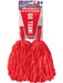 Girl's Red Cheerleader Kit - costumesupercenter.com