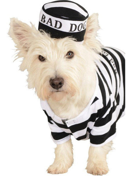 Prisoner Dog Pet Costume - costumesupercenter.com