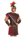 Roman Chest Cover Adult - costumesupercenter.com