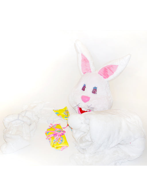 Adult Mascot Easter Bunny Costume with Festive Egg Vest - costumesupercenter.com