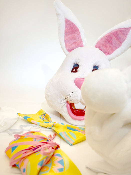 Adult Mascot Easter Bunny Costume with Festive Egg Vest - costumesupercenter.com