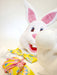 Adult Mascot Easter Bunny Costume with Festive Egg Vest - costumesupercenter.com