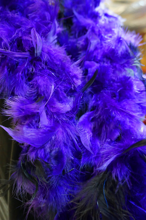 Adult Purple and Black Feather Boa - costumesupercenter.com