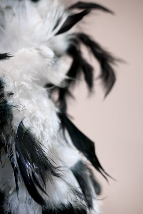 Adult White and Black Feather Boa - costumesupercenter.com
