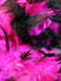 Adult Pink and Black Feather Boa - costumesupercenter.com