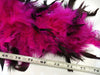 Adult Pink and Black Feather Boa - costumesupercenter.com
