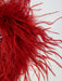 Adult Red Feather Boa - costumesupercenter.com