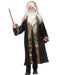 Wizard Wig and Beard - costumesupercenter.com