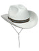 Felt Cowboy Hat - costumesupercenter.com