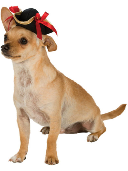Pirate Hat - costumesupercenter.com