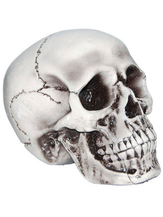 6 " Foam Skull - costumesupercenter.com