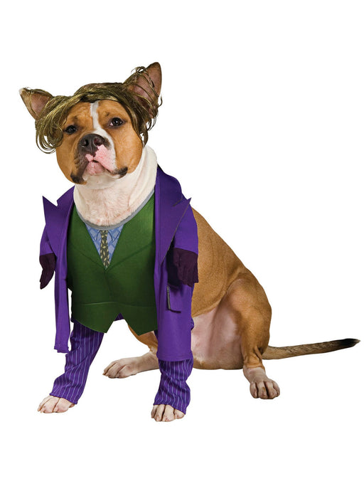 DC Comics Joker Pet Costume - costumesupercenter.com