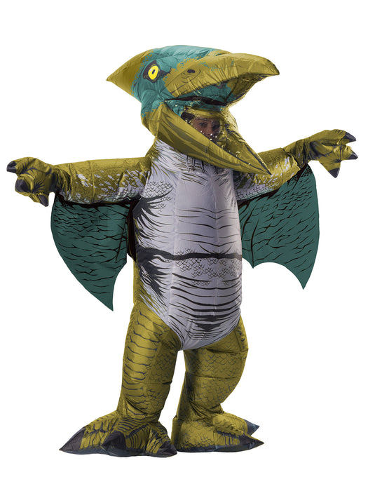 Inflatable Pteranodon Costume for Men - costumesupercenter.com