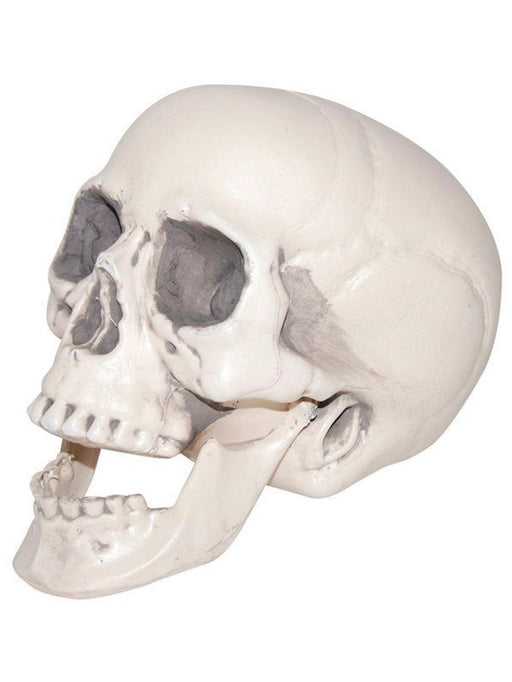 Realistic Plastic Skull - costumesupercenter.com