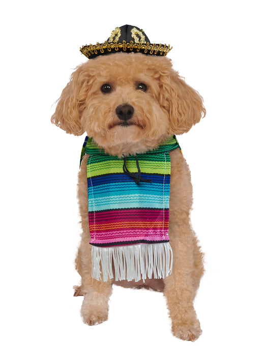 Fiesta Inspired Serape Pet Costume - costumesupercenter.com